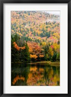 Ammonoosuc Lake in fall, White Mountain National Forest, New Hampshire Fine Art Print