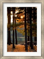 Sunset, Pawtuckaway Lake, New Hampshire Fine Art Print