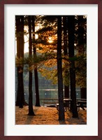 Sunset, Pawtuckaway Lake, New Hampshire Fine Art Print