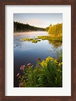 Androscoggin River, Errol, New Hampshire Fine Art Print