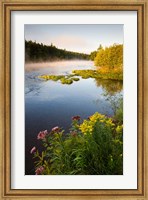 Androscoggin River, Errol, New Hampshire Fine Art Print