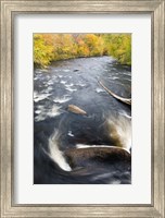 Ashuelot River, New Hampshire Fine Art Print