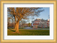 Education, University of New Hampshire Fine Art Print