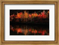 Fall Foliage with Reflections, New Hampshire Fine Art Print