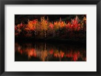 Fall Foliage with Reflections, New Hampshire Fine Art Print