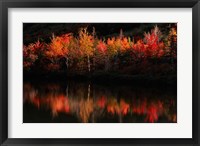 Fall Foliage with Reflections, New Hampshire Fine Art Print
