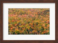 New Hampshire, White Mountains, Autumn Fine Art Print