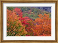 Bemis Falls Trail, Crawford Notch State Park, New Hampshire Fine Art Print