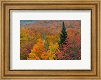 Autumn at Flume Area, Franconia Notch State Park, New Hampshire Fine Art Print