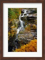 Autumn at Silver Cascade, Crawford Notch SP, New Hampshire Fine Art Print