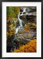 Autumn at Silver Cascade, Crawford Notch SP, New Hampshire Fine Art Print