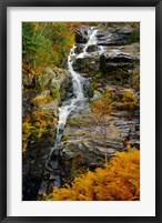 Autumn at Silver Cascade, Crawford Notch SP, New Hampshire Fine Art Print