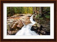 Autumn on Pemigewasset River, Franconia Notch SP, New Hampshire Fine Art Print