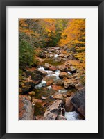 Liberty Gorge, Franconia Notch State Park, New Hampshire Fine Art Print