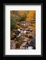 Liberty Gorge, Franconia Notch State Park, New Hampshire Fine Art Print