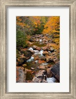 Liberty Gorge, Franconia Notch State Park, New Hampshire Fine Art Print