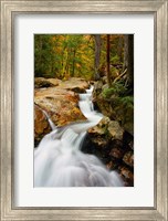 Pemigewasset River in Franconia Notch State Park, New Hampshire Fine Art Print