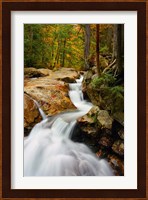 Pemigewasset River in Franconia Notch State Park, New Hampshire Fine Art Print