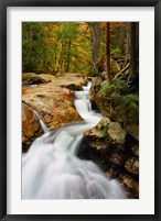 Pemigewasset River in Franconia Notch State Park, New Hampshire Fine Art Print