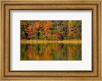 Reflected autumn colors at Echo Lake State Park, New Hampshire Fine Art Print
