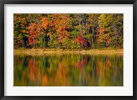 Reflected autumn colors at Echo Lake State Park, New Hampshire Fine Art Print