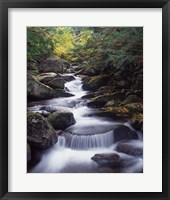 Gordon Water Falls, Appalachia, White Mountains, New Hampshire Fine Art Print