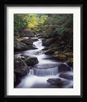 Gordon Water Falls, Appalachia, White Mountains, New Hampshire Fine Art Print