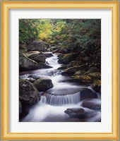 Gordon Water Falls, Appalachia, White Mountains, New Hampshire Fine Art Print