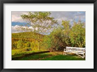 New Hampshire, Sugar Hill, Bench Fine Art Print