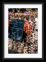 Ropes of Garlic in Local Shop, Nice, France Fine Art Print