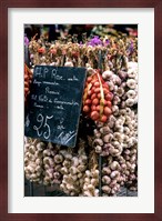 Ropes of Garlic in Local Shop, Nice, France Fine Art Print
