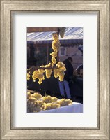 Market on Cours Saleya, Old Town Nice, France Fine Art Print
