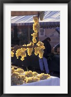 Market on Cours Saleya, Old Town Nice, France Fine Art Print