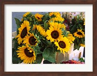 Market Sunflowers, Nice, France Fine Art Print