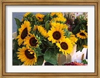 Market Sunflowers, Nice, France Fine Art Print