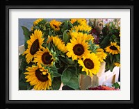 Market Sunflowers, Nice, France Framed Print