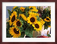 Market Sunflowers, Nice, France Fine Art Print