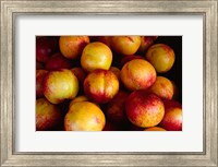 Plums at an Outdoor Market, Nice, France Fine Art Print