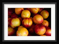 Plums at an Outdoor Market, Nice, France Fine Art Print