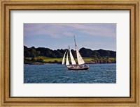 Sailing in Newport, Rhode Island Fine Art Print