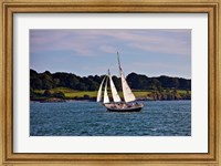 Sailing in Newport, Rhode Island Fine Art Print