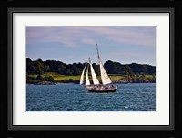 Sailing in Newport, Rhode Island Fine Art Print