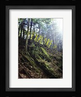 Explore Fine Art Print