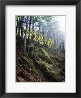 Explore Fine Art Print