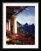 Pergola in Capri Fine Art Print