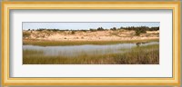 Sand Dunes and Marsh, Michigan Fine Art Print