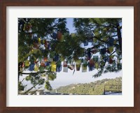 Prayer Flags, Upper Dharamsala, Himachal Pradesh, India Fine Art Print