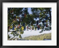 Prayer Flags, Upper Dharamsala, Himachal Pradesh, India Fine Art Print