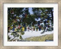 Prayer Flags, Upper Dharamsala, Himachal Pradesh, India Fine Art Print