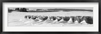 Line of bales drifted with snow in Clayton County, Iowa Framed Print